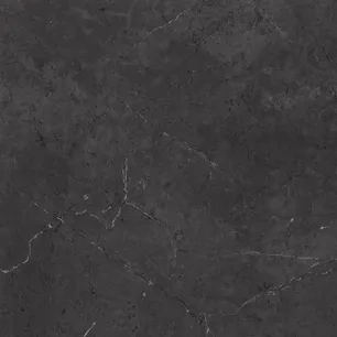 4926 Black Alicante